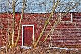 Broad Side Of A Barn_08054